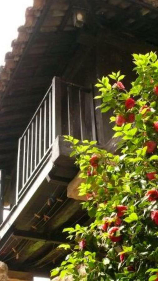La Casina De Celorio Guest House Celorio  Екстериор снимка